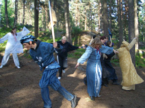 haaksirikko